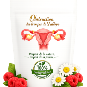 Obstruction des trompes de Fallope – Traitement naturel pour nettoyer, débloquer et restaurer la mobilité des trompes.